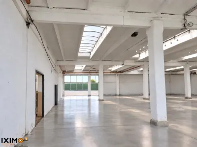 Hala Centrala cu IsU & Parking - Bacau