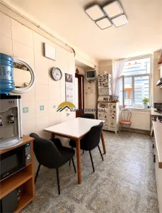 3 camere Cismigiu - ap in vila - foto 5
