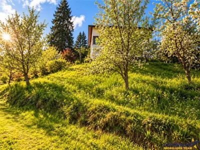 Resedinta distinctiva, pe domeniu de 2.200mp, cadru exclusivist, Central, Brasov - foto 14