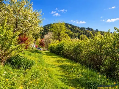 Resedinta distinctiva, pe domeniu de 2.200mp, cadru exclusivist, Central, Brasov - foto 12