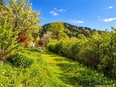 Resedinta distinctiva, pe domeniu de 2.200mp,cadru exclusivist, Central, Brasov - foto 16
