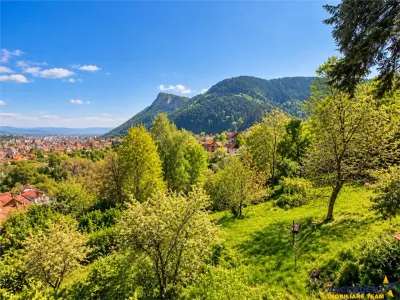 Resedinta distinctiva, pe domeniu de 2.200mp,cadru exclusivist, Central, Brasov - foto 9