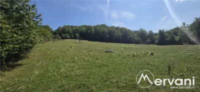 Teren intravilan de vanzare 2500 mp in Banesti - Banesti