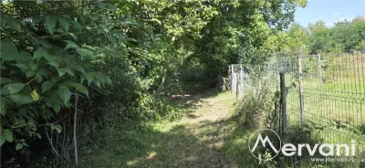 Teren intravilan de vanzare 2500 mp in Banesti - foto 4
