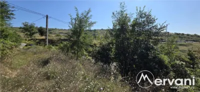 Teren intravilan 4.029 mp de vanzare, zona Crama Seciu - foto 3