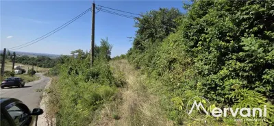 Teren intravilan 4.029 mp de vanzare, zona Crama Seciu - foto 4