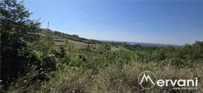 Teren intravilan 4.029 mp de vanzare, zona Crama Seciu - foto 9