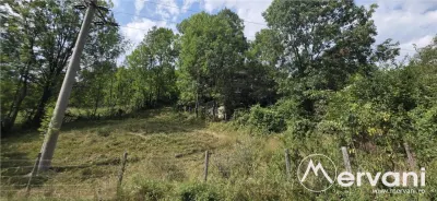 Teren intravilan 453 mp de vanzare in Valea Doftanei - foto 2