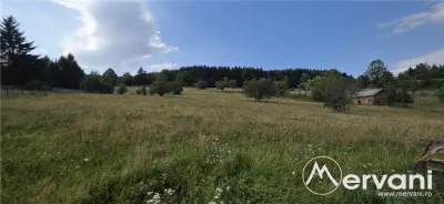 Teren intravilan de vanzare 3500 mp in Valea Doftanei - Valea Doftanei