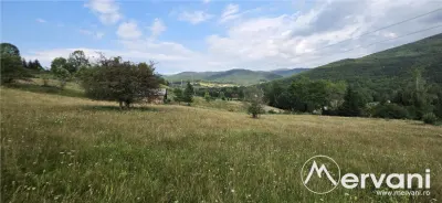 Teren intravilan de vanzare 3500 mp in Valea Doftanei - foto 2