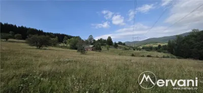 Teren intravilan de vanzare 3500 mp in Valea Doftanei - foto 3