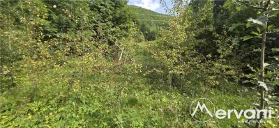 Teren intravilan 3200 mp de vanzare in Valea Doftanei - foto 2