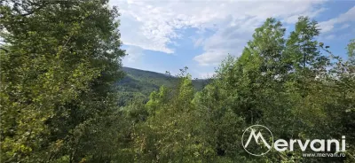 Teren intravilan 3200 mp de vanzare in Valea Doftanei - foto 3