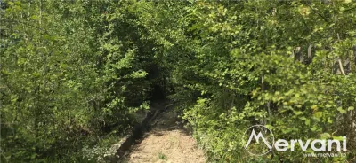 Teren intravilan 3200 mp de vanzare in Valea Doftanei - foto 4