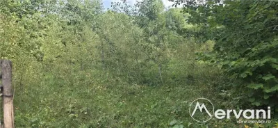 Teren intravilan 3200 mp de vanzare in Valea Doftanei - foto 5
