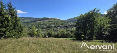Teren intravilan 1825 mp de vanzare in Valea Doftanei - Valea Doftanei