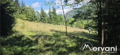Teren intravilan 1825 mp de vanzare in Valea Doftanei - foto 2