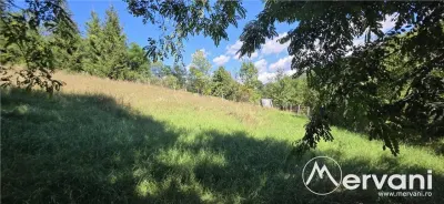 Teren intravilan 1825 mp de vanzare in Valea Doftanei - foto 3