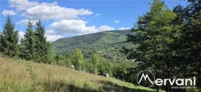 Teren intravilan 1825 mp de vanzare in Valea Doftanei - foto 4