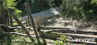 Teren intravilan 1825 mp de vanzare in Valea Doftanei - foto 6