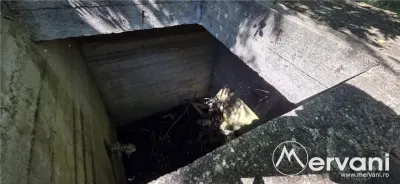 Teren intravilan 1825 mp de vanzare in Valea Doftanei - foto 7