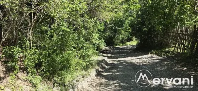Teren intravilan 1825 mp de vanzare in Valea Doftanei - foto 9
