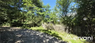 Teren intravilan 1825 mp de vanzare in Valea Doftanei - foto 10