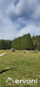Teren intravilan 2500 mp in Valea Doftanei - foto 2