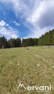 Teren intravilan 2500 mp in Valea Doftanei - foto 3