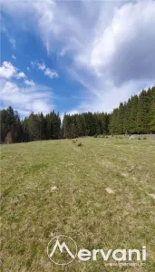 Teren intravilan 2500 mp in Valea Doftanei - foto 6