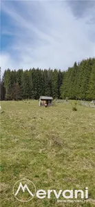 Teren intravilan 2500 mp in Valea Doftanei - foto 7