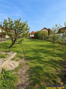 Pet friendly! Garsoniera de inchiriat, la casa, Sanpetru - foto 5