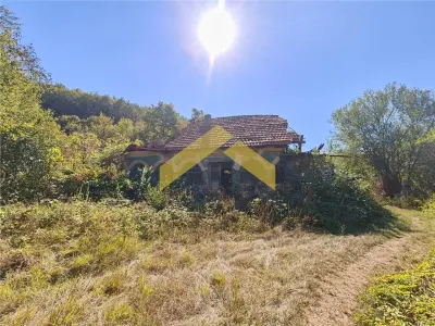 Teren mixt de vanzare sat Corbesti, drumul Regelui - foto 3