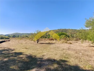 Teren mixt de vanzare sat Corbesti, drumul Regelui - foto 4