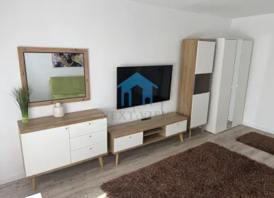 Apartament 1 camera, Kaufland Manastur, Platinia - foto 3