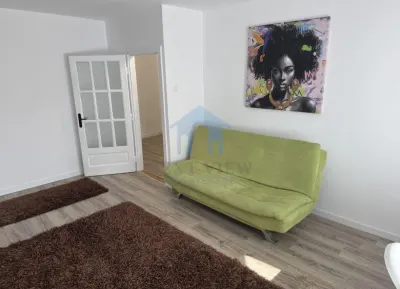 Apartament 1 camera, Kaufland Manastur, Platinia - foto 5