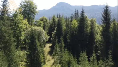 Teren 2.3ha cu 3 locuri de casa in muntii Rarau Bucovina - foto 2
