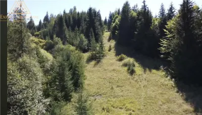 Teren 2.3ha cu 3 locuri de casa in muntii Rarau Bucovina - foto 3