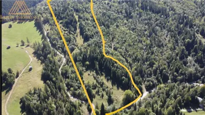 Teren 2.3ha cu 3 locuri de casa in muntii Rarau Bucovina - foto 4