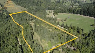 Teren 2.3ha cu 3 locuri de casa in muntii Rarau Bucovina - foto 5