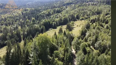 Teren 2.3ha cu 3 locuri de casa in muntii Rarau Bucovina - foto 6