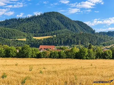 Teren intravilan, regim inaltime P+2E+M,  vedere catre munti, Sacele, Brasov - Sacele