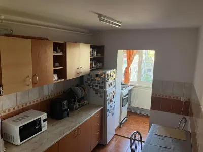 Apartament 2 Camere Decomandat / Bloc Izolat Zona Aradului - foto 3