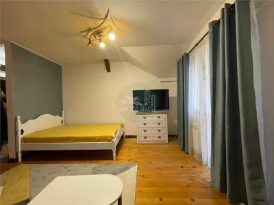 Garsoniera la mansarda cu balcon - Vasile Aaron - foto 2