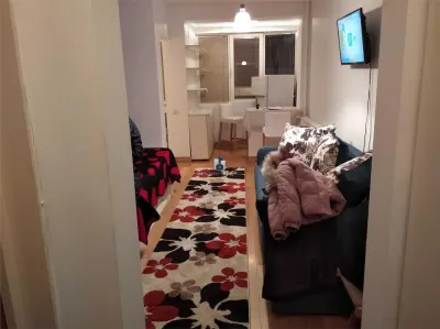 Inchiriere Garsoniera Decomandata Aparatorii Patriei-Turnu Magurele - foto 9