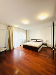 INCHIRIERE APARTAMENT 2 CAMERE ZONA UNIRII  PIATA UNIRII SECTOR 3 - foto 7