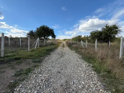 TEREN DE VANZARE LANGA PADUREA SCHULLERWALD - foto 2