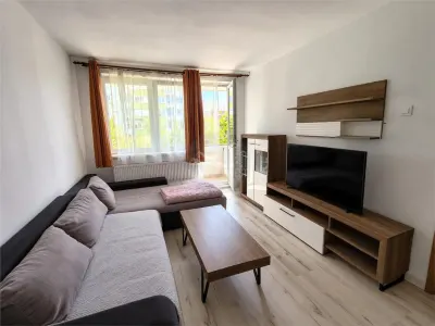 Apartament 2 camere decomandat balcon zona Mihai Viteazu - foto 11