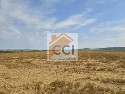 Teren intravilan– 50.000 mp, Bacău, Șoseaua Hol - Holt