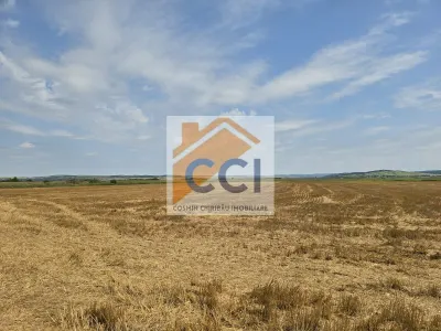 Teren intravilan– 50.000 mp, Bacău, Șoseaua Hol - foto 2